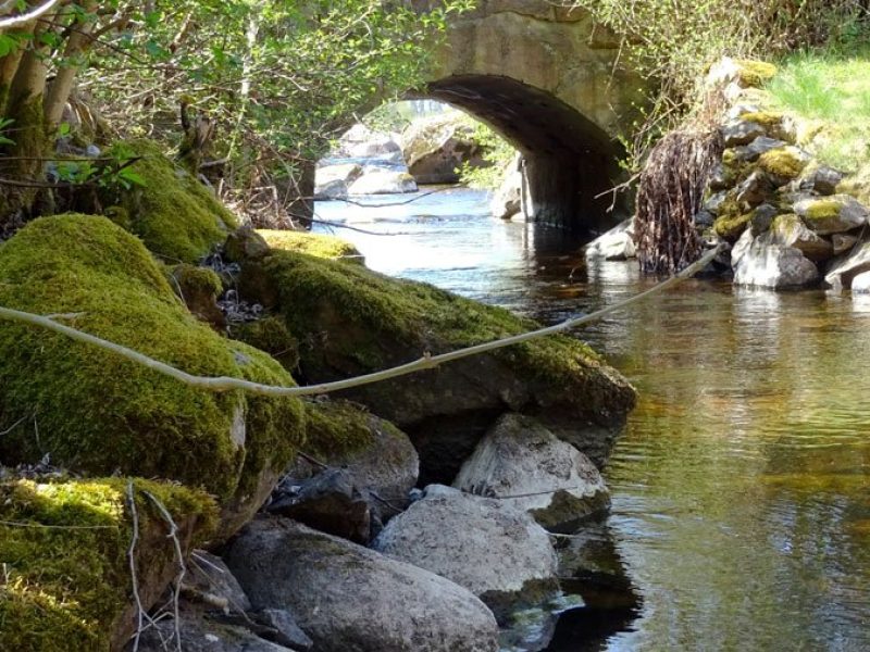Ferienhaus Lönneberga Michael in Hultsfred - Kalmar-21