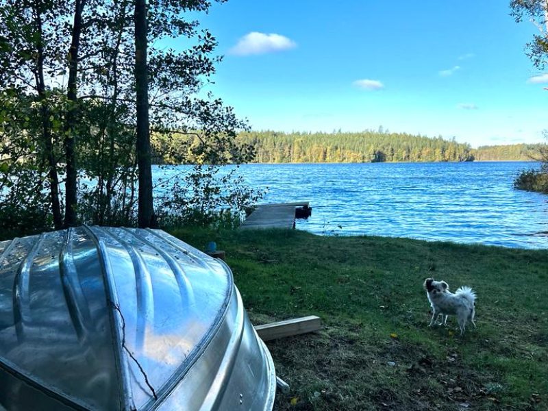 Ferienhaus Sönnerhult in Hultsfred - Kalmar-09