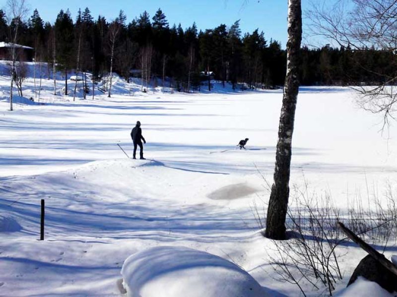 Ferienhaus Sönnerhult in Hultsfred - Kalmar-16