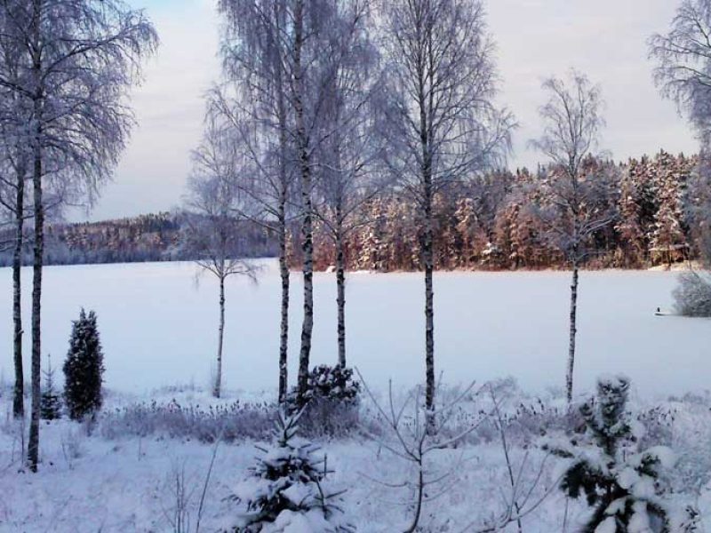 Ferienhaus Sönnerhult in Hultsfred - Kalmar-17